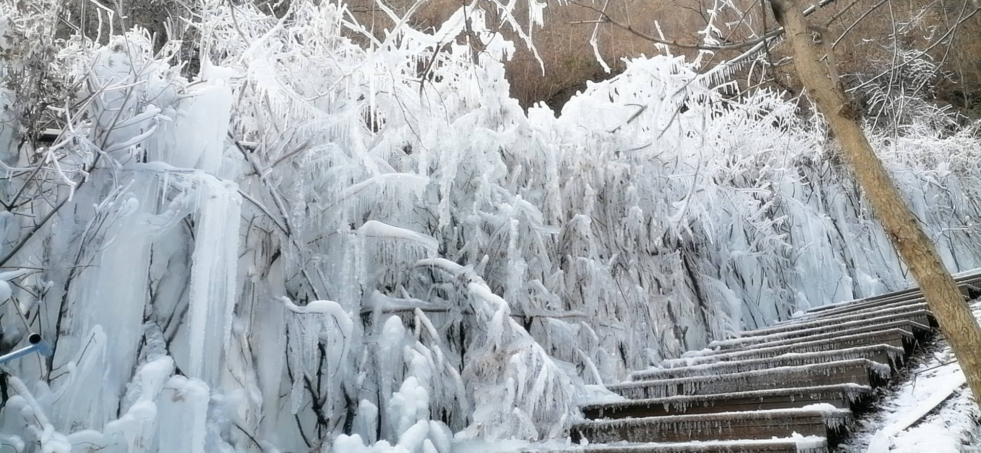 洛阳旅游小众景区推荐：王府竹海冰瀑冰挂，年前最后一次旅游来这