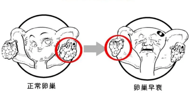 5b5b446fc94c4b79bf293d3ec496b284.png