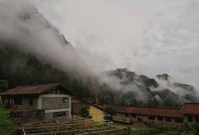 云雾是小村最独特的风景，全村没有胖子，原因找到了（5）