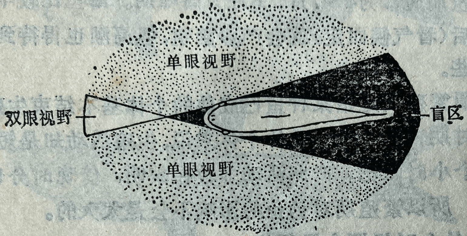 看不见的区域称为盲区(1)视野与视力鱼