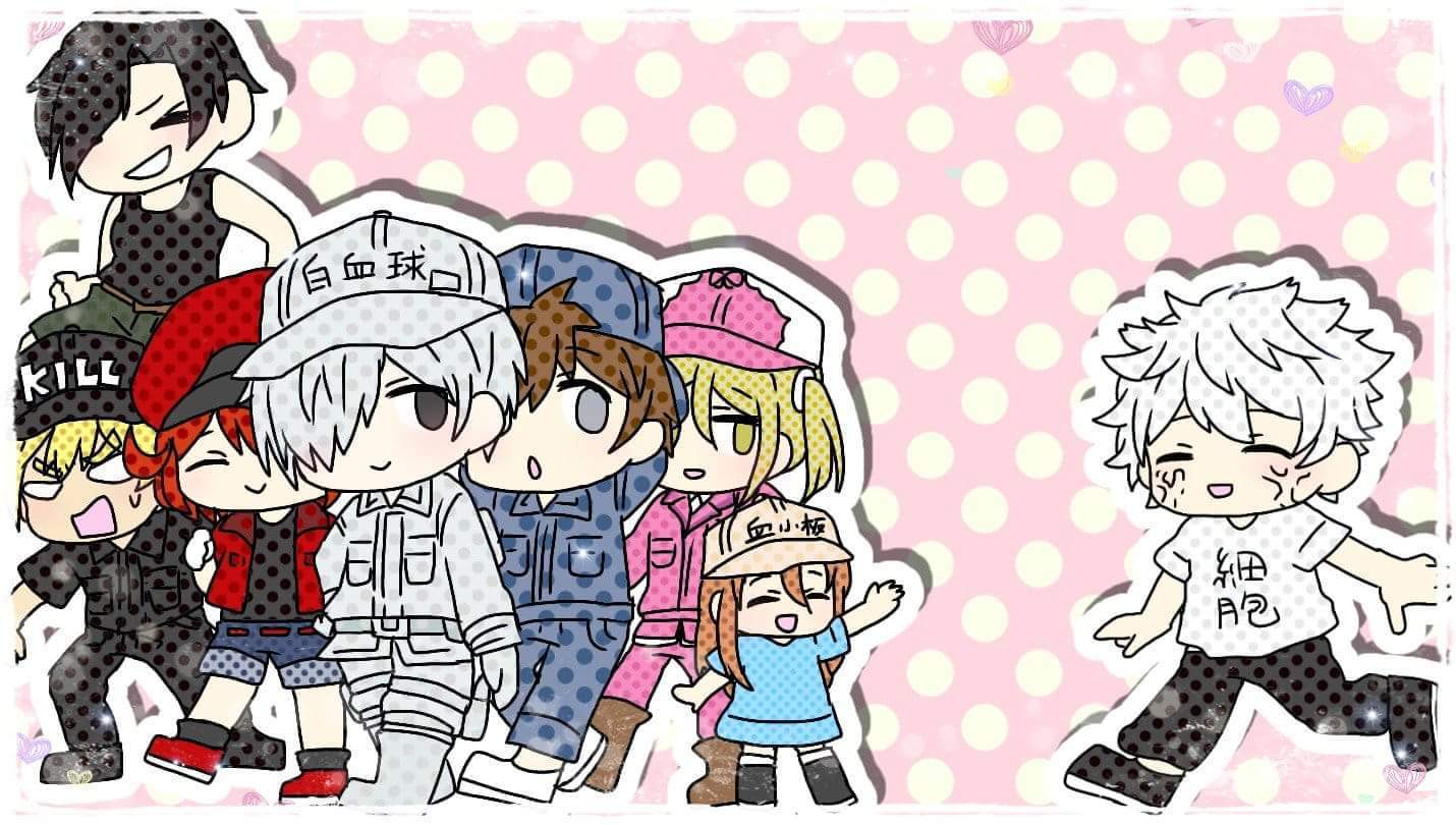 《工作细胞》登陆央视,不卖肉只卖萌,寓教于乐