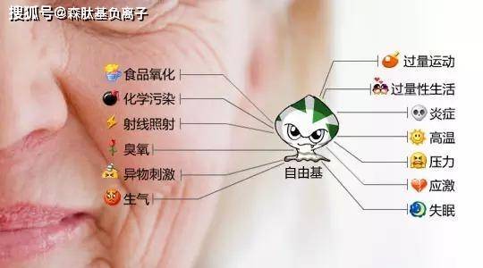 怎么样消除人体内自由基 c795adc6d780444ca4e386f0f4868a8f.jpeg