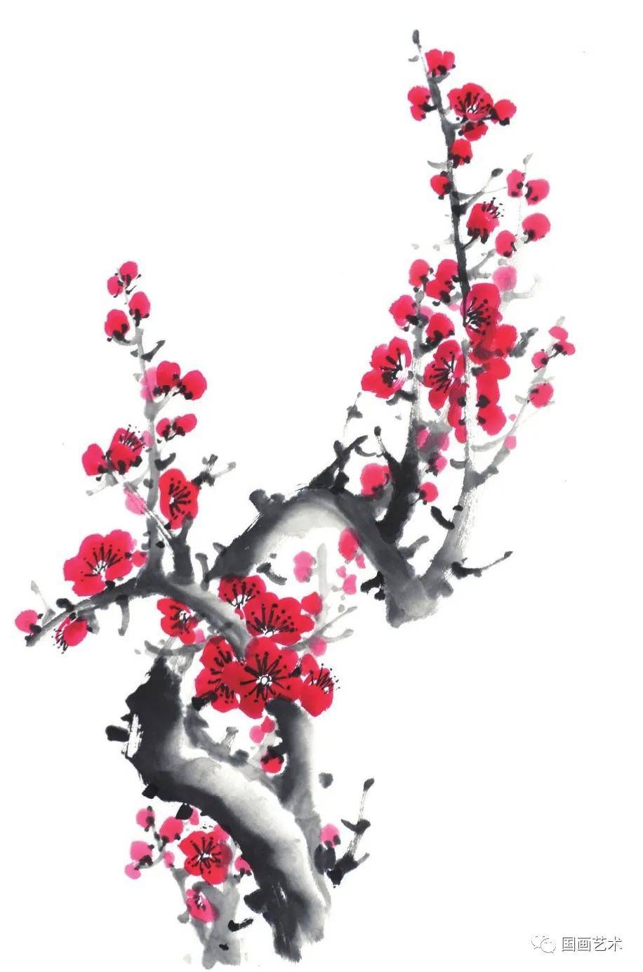 图文教程白梅红梅腊梅写意画法示范