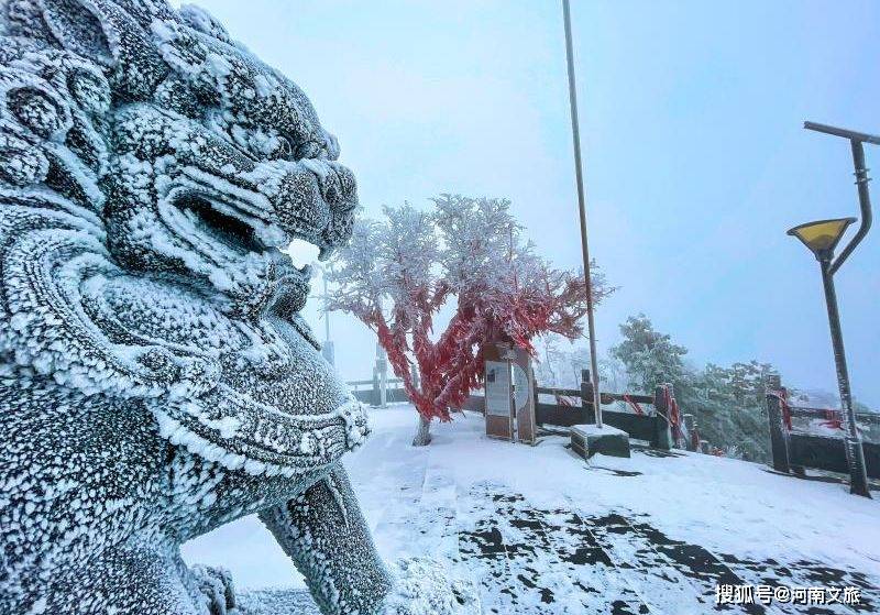 洛阳白云山2021年第一场雪降临 玉树琼花美轮美奂