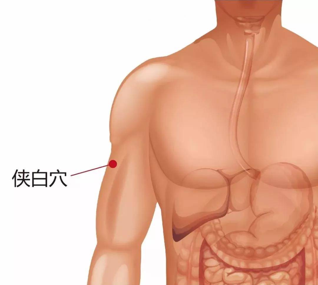 你瞭解肺經及肺經上的穴位嗎你知道該怎麼養肺