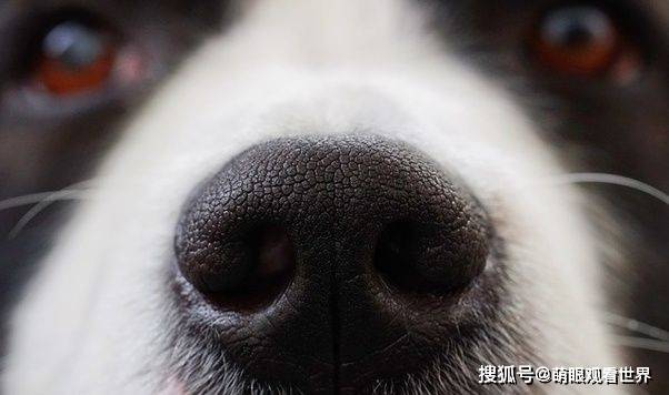 d2753c52521b45d295208ed5b13fe904.jpeg