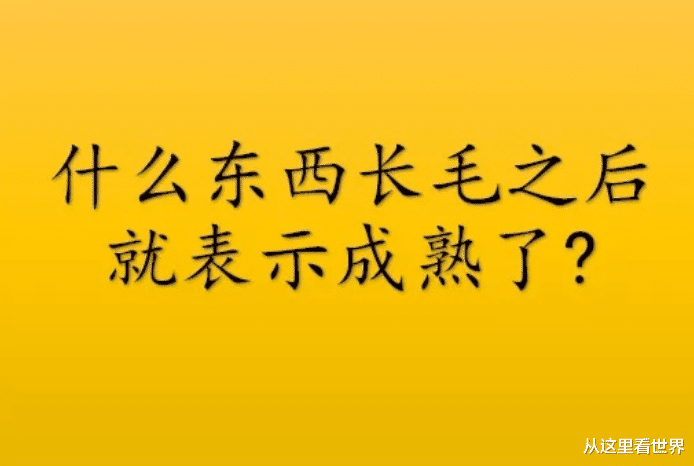 035de04760a141ada5e3a53c88445023.png