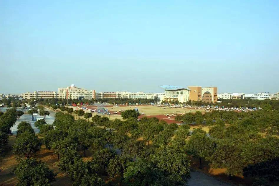 学校简介中山市小榄花城中学介绍