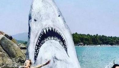 印度海滩藏有一处鲨鱼头，露出尖牙利齿，堪称世界绝无仅有