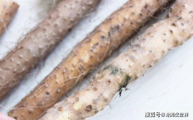 原创菜农告诉我这3种山药别再买不花钱也不要看完告诉家里人