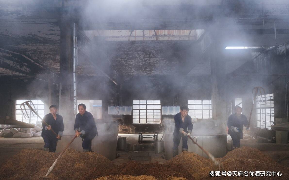 你酿造酱香型白酒出酒率正常吗