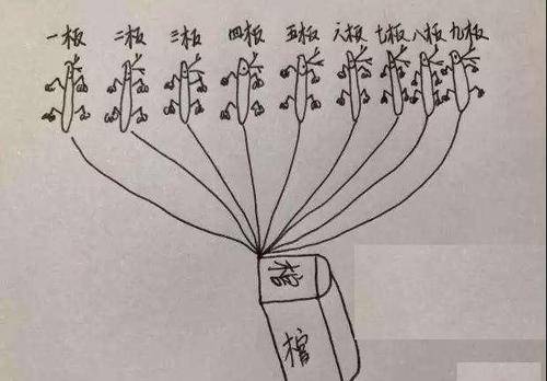 320集遮天耗资6亿未播先被骂九马拉棺恐怖如斯