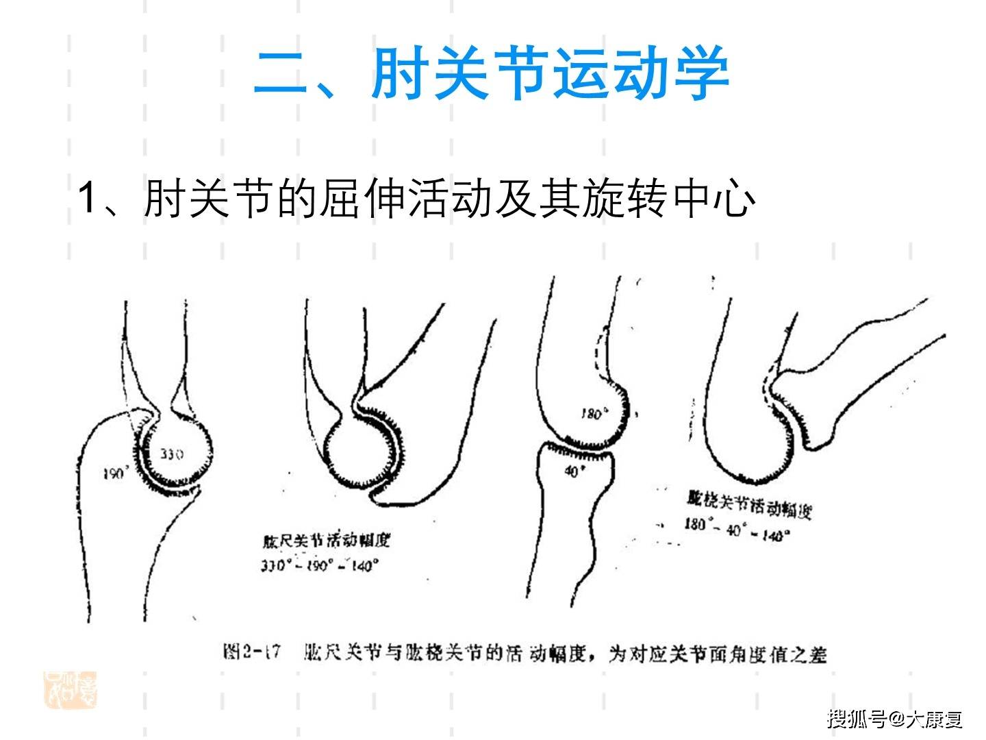 肘關節運動學