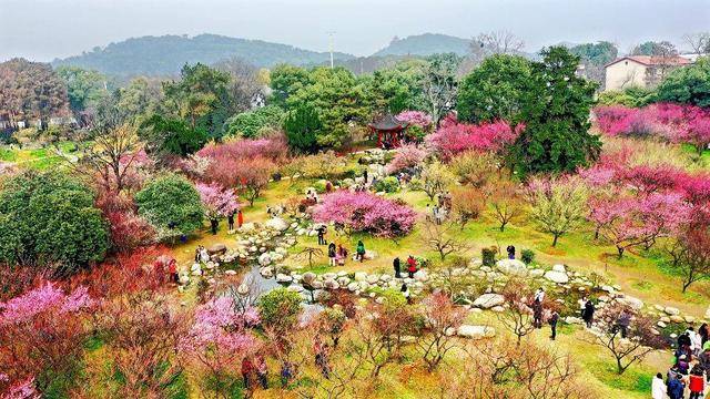 梅园赏花路线来啦，带你看遍梅园十景