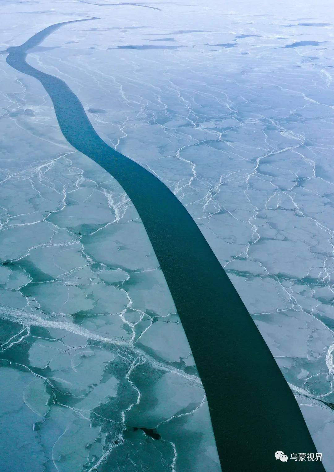 这是南极冰川？不！这是冰封草海……