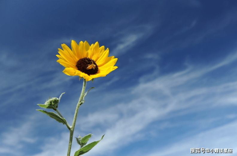 a794befae3c74ced8e2736a5208b0382.png