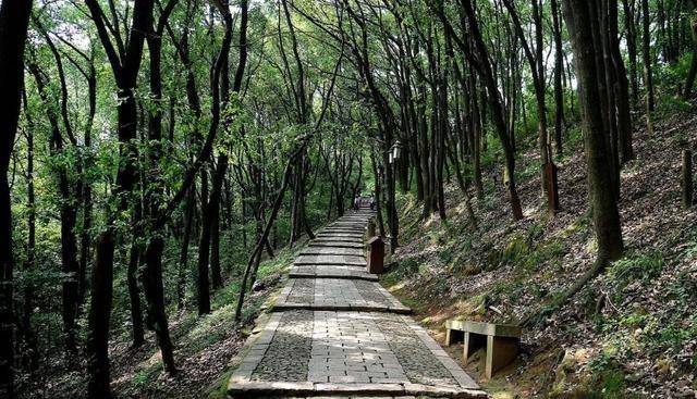 黑龙江一国家级公园走红，占地面积约41000公顷，游客往来不断