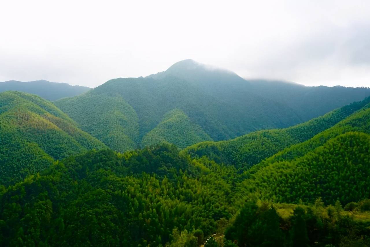 北纬27°的原始森林，去亲近大自然，来一次“洗肺”之旅吧