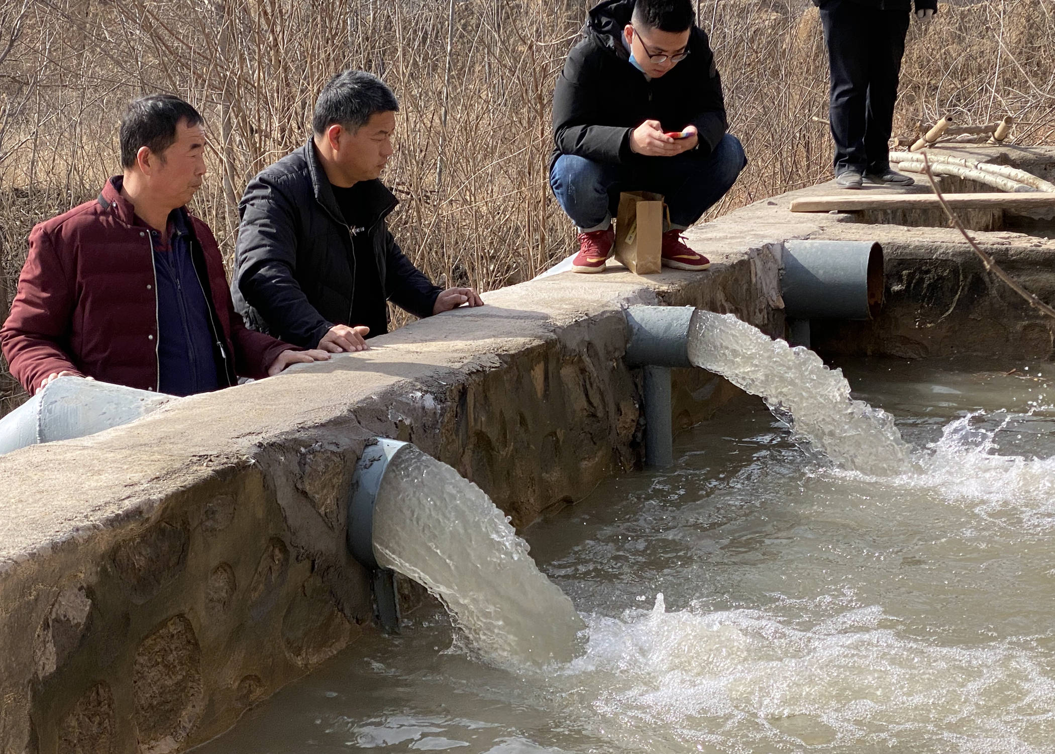 陕西大荔开足马力冬春灌抗旱"全面开花"保丰产_灌溉