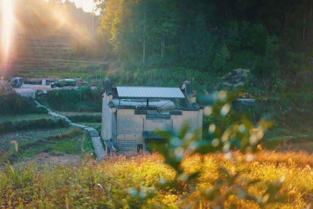 福建800年历史的厦地古村被水田包围，深藏山坳里恍若桃花源