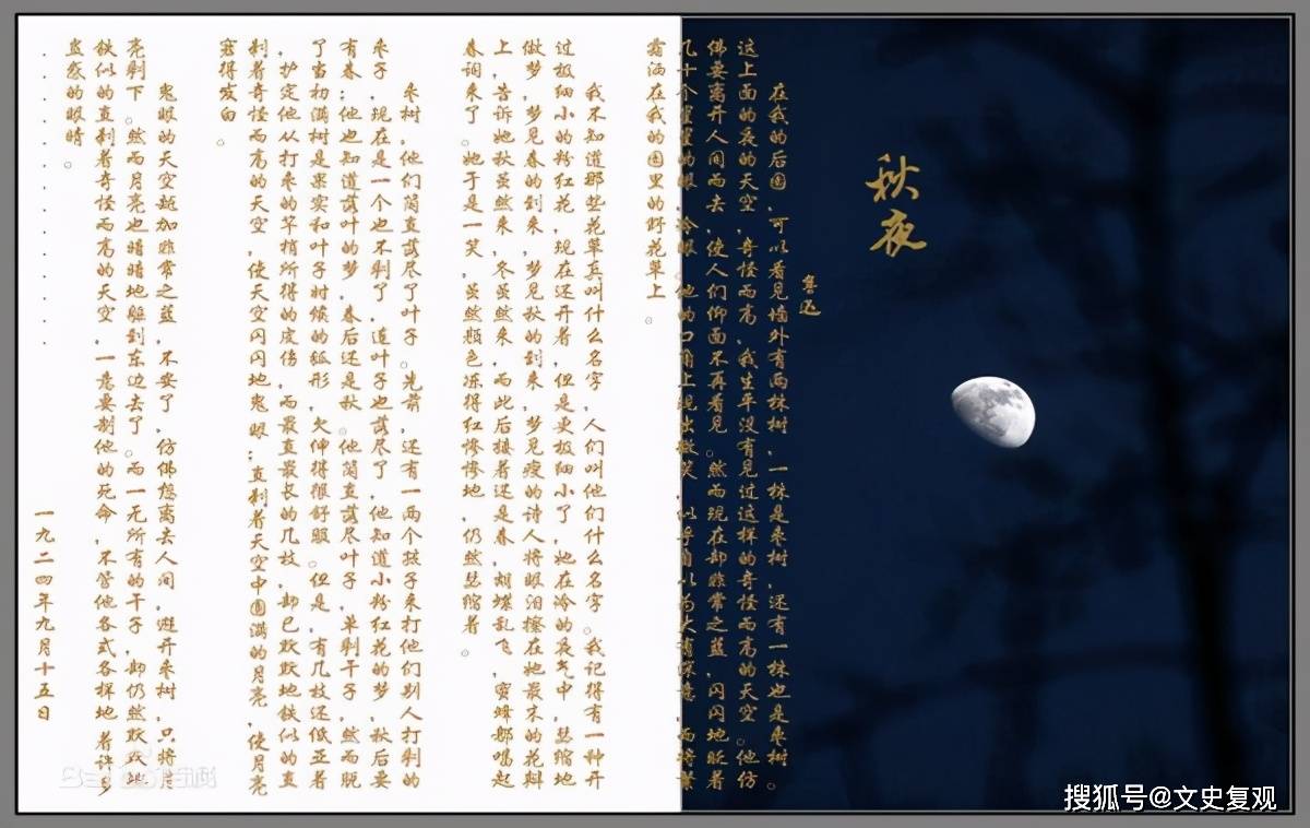 鲁迅"一株是枣树,一株也是枣树"有何深意?王朔:写得疙疙瘩瘩