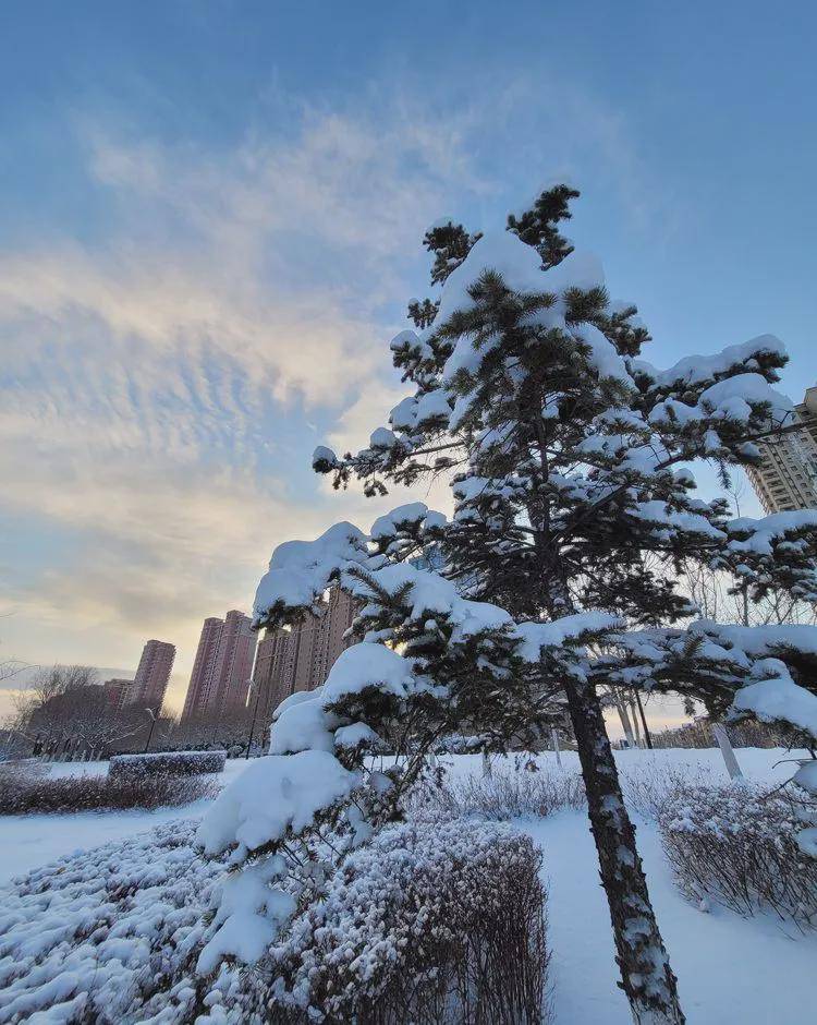 【图说示范区】瑞雪饰晨曦 雪景美如画