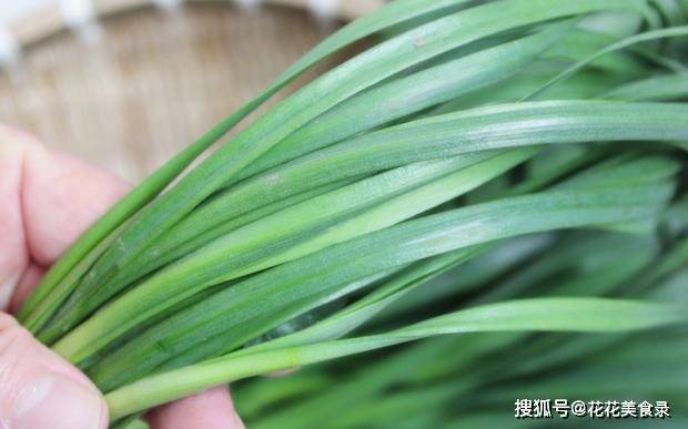 什么时候种韭菜好一点 b39c0a5cad9a4320ab22dbc49c5b91cd.jpeg