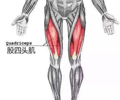 原創膝關節炎患者急需鍛鍊股四頭肌很實用的訓練方法