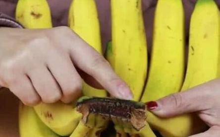 香蕉什么时候最便宜 cae053c23ac04c3696a1bc7c82b84f44.jpeg