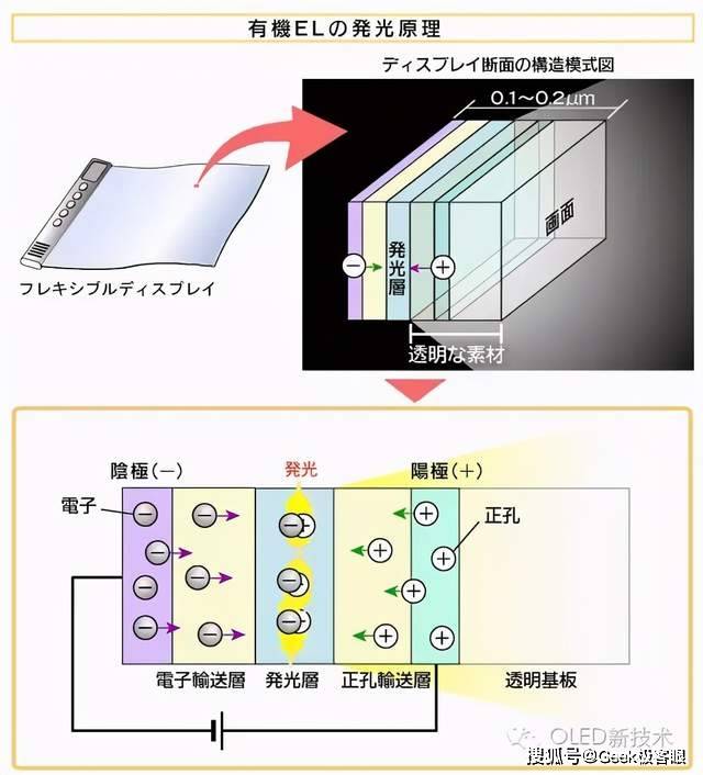 文章配图-4