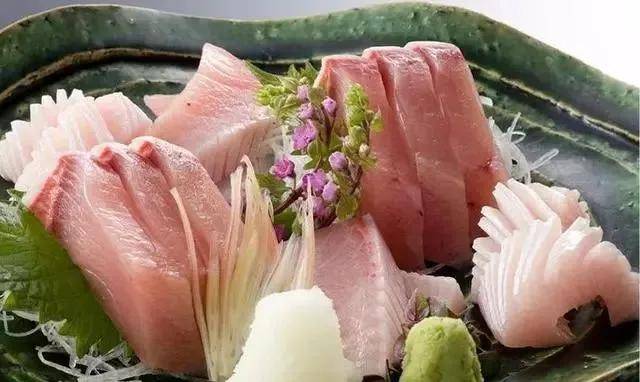 日本特色美食中的鰤鱼 你知道一条鰤鱼有多大吗 平政