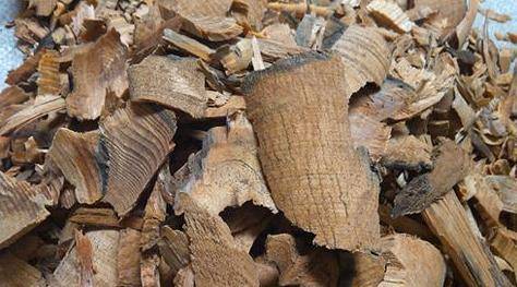 油松节虽有油松节有祛风除湿,通络止痛的功效,可治