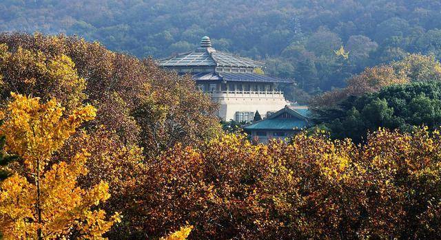 原创武汉大学校址原名罗家山为什么被闻一多硬改为珞珈山