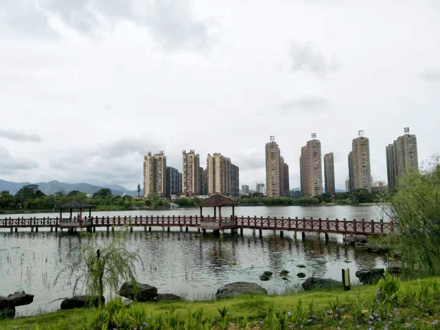 县级横州市诞生,同样想设市的宾阳和黎塘何去何从?_龙港镇