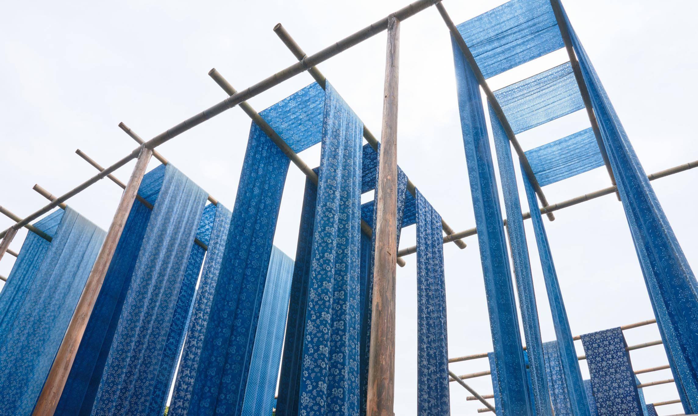 蓝靛是从草本植物蓼蓝(菘蓝)中提炼出的,它的主要用途是染布,也可药用