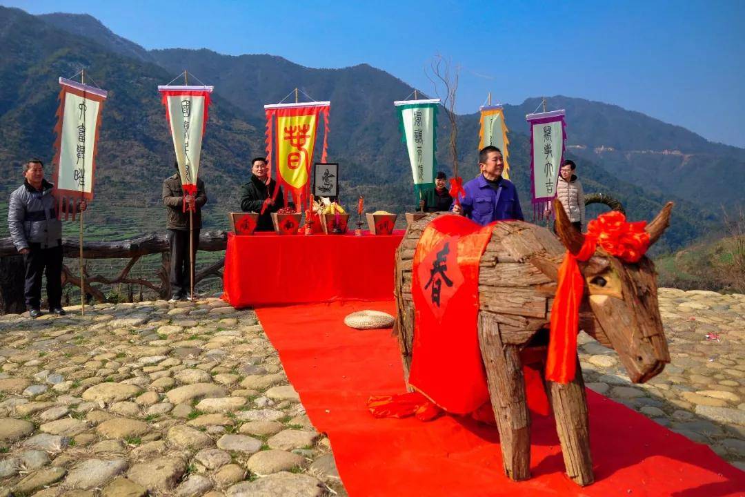 今日立春:"鞭牛"催耕迎春来,静待万亩黄花开