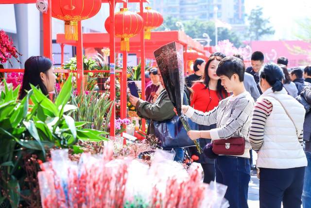 深圳龙岗中心城文化旅游线开通