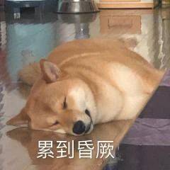 50f3bf0c38b1477e9e407f78058b39a4.jpeg