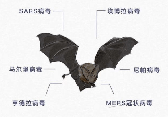 71fd222efc9e4bc2928f8931486a765b.png