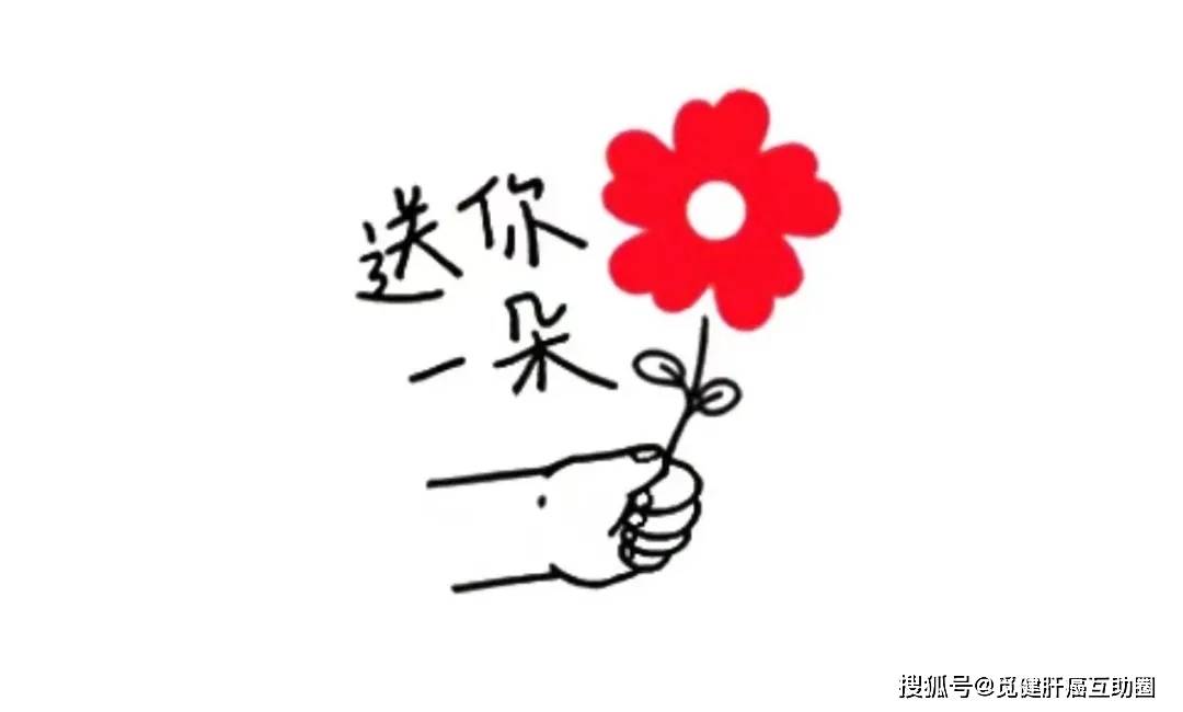 云遮住一朵玫瑰猜成语_看图猜成语(2)