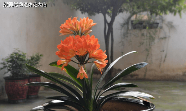 b3087ac257c243f5abebe3d906921d81.png