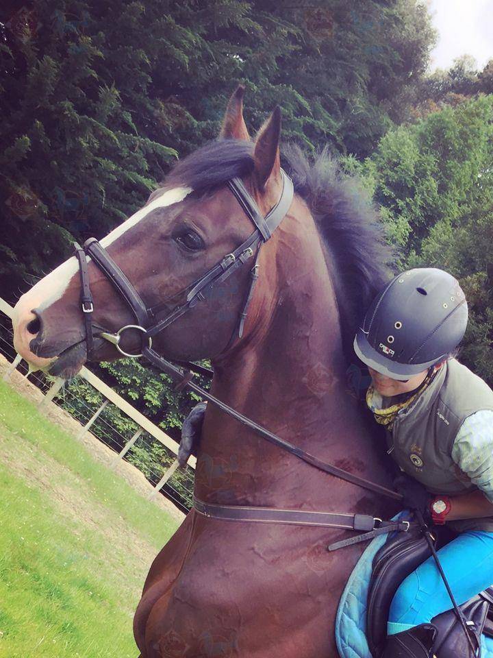 涨知识 关于衔铁你知道多少 游环衔铁 尺寸