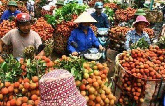 宣布对中国取消免签，大量水果烂在地里卖不出去，代价太大！
