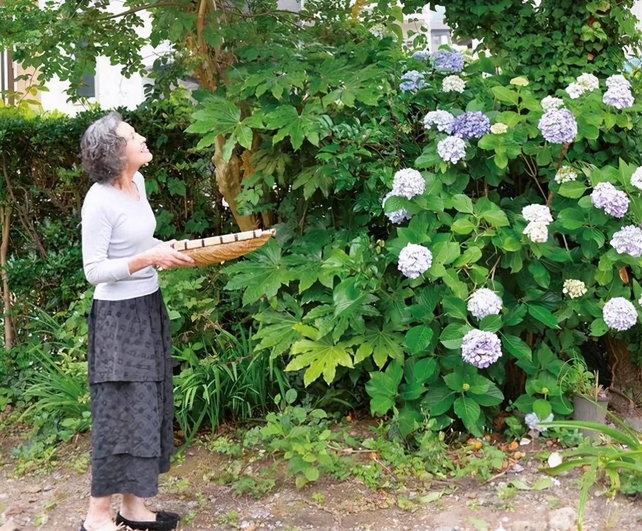 坂井顺子的家是独栋三层小楼,里面一共住着坂井夫妇,儿子一家和女儿一