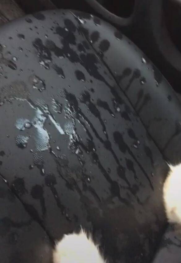 吐黑水 搜狐网