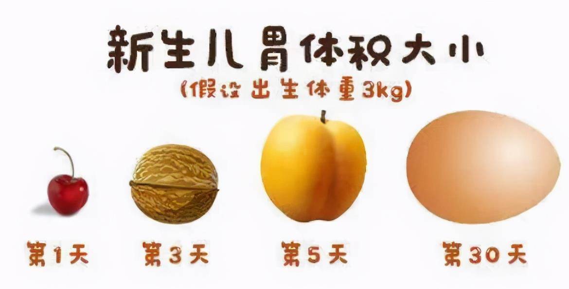 梦境的丰饶，解读我昨晚梦见在地里捡了好多鸡蛋、鸭蛋和鹅蛋的预兆