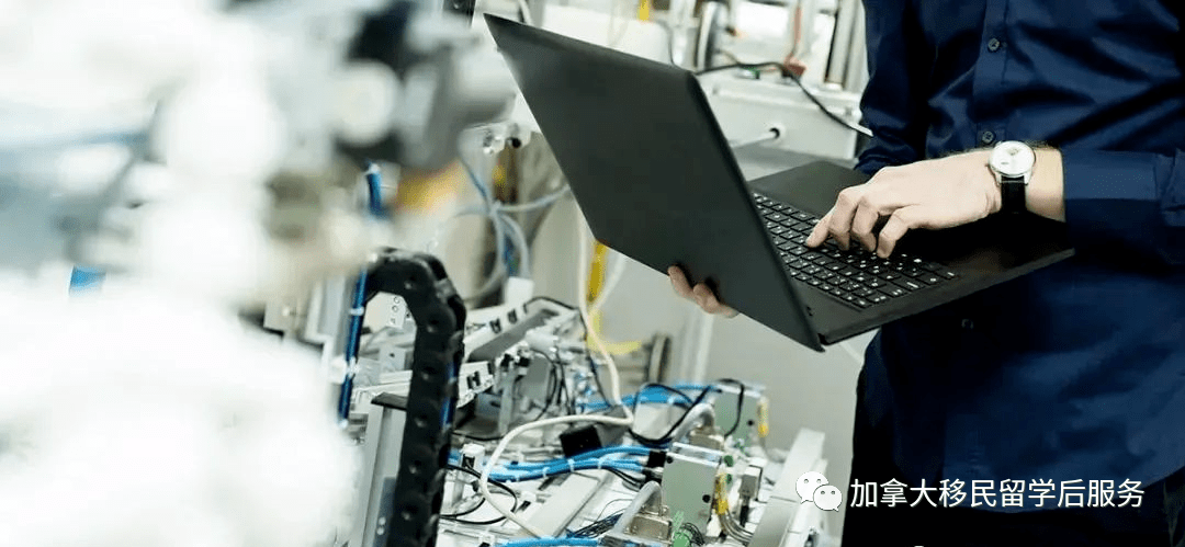 加拿大职业排行榜_Indeed揭秘加拿大入门级职位年薪排行!有工作入行就$8.2万