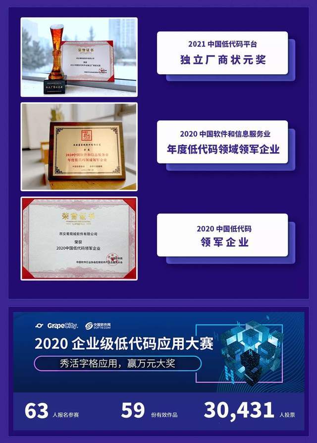 中国软件|岁序更新 | 葡萄城2020年“赋能开发者”精彩回顾