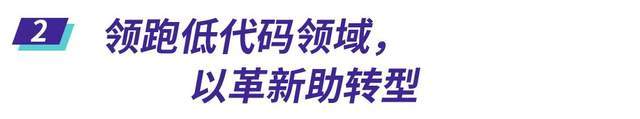 中国软件|岁序更新 | 葡萄城2020年“赋能开发者”精彩回顾