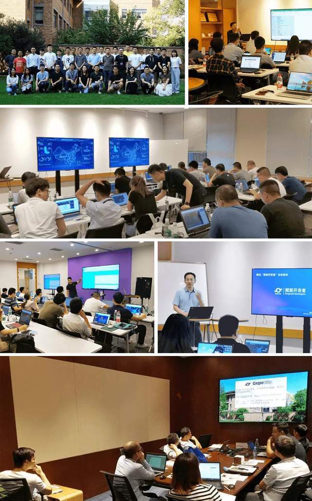 中国软件|岁序更新 | 葡萄城2020年“赋能开发者”精彩回顾